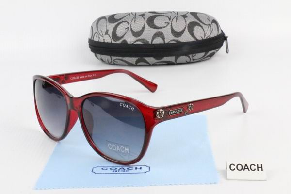 C0ACH Boutique Sunglasses 004